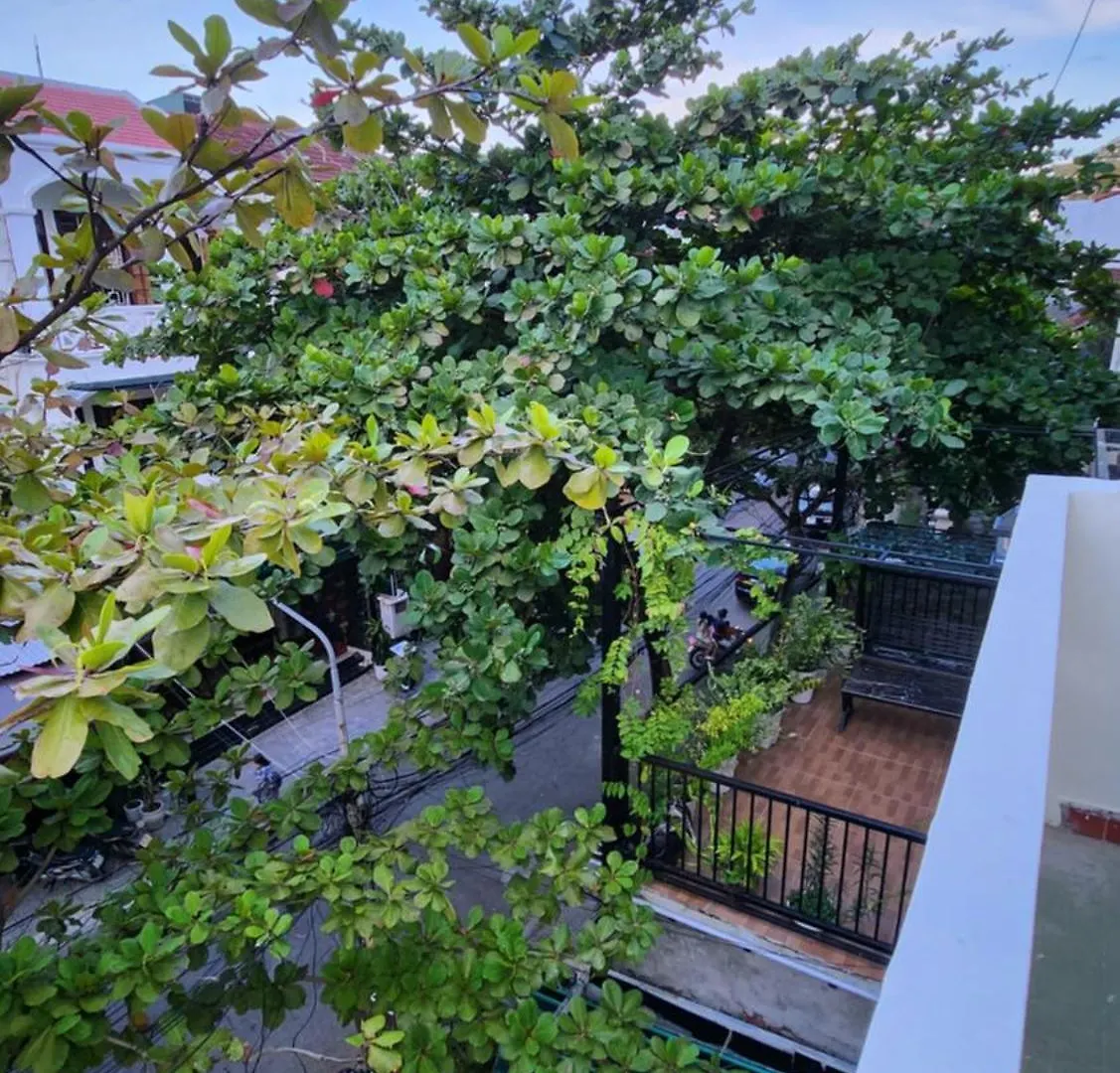 Guest house Lanni House Hotel Hoi An